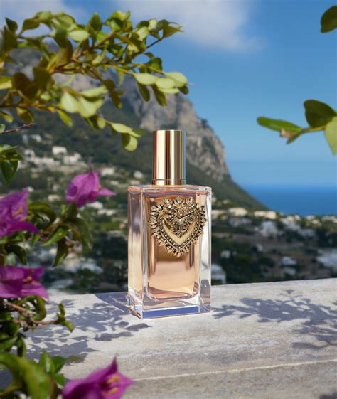 zangeres in dolce gabbana|dolce and gabbana perfume.